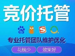 競價推廣托管的公司